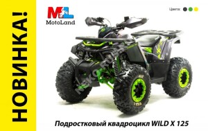 Квадроцикл MotoLand WILD 125 X